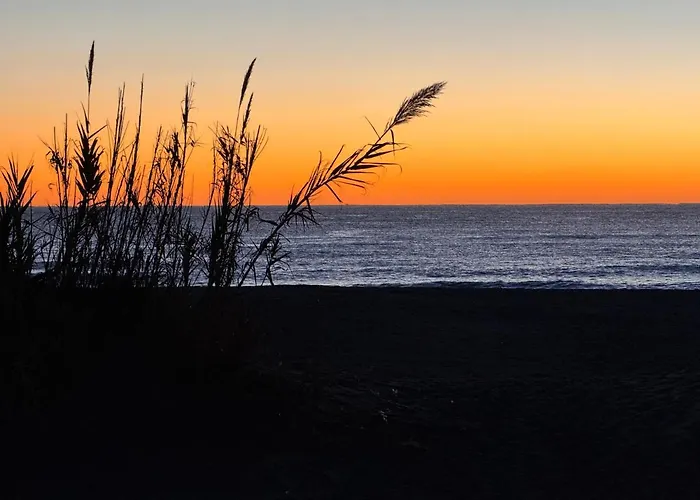 Mobilhome Le Mar Estang Canet-en-Roussillon